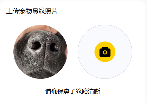 汪汪小镇-宠物建档界面1