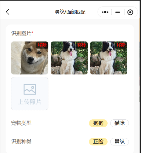 汪汪小镇-AI寻宠识别界面1