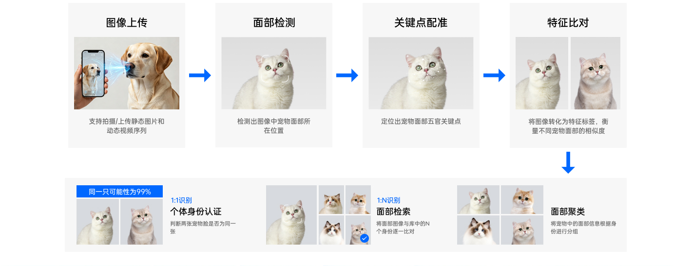 汪汪小镇-完整AI宠物识别技术流程图
